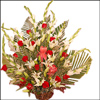 Trendy Glimpses - Click here to View more details about this Product